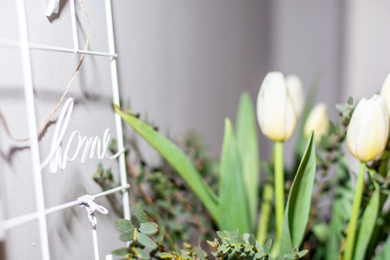 La Lu Cozy Rooms Pisa Ngoại thất bức ảnh